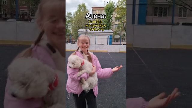 Ошиблась с размером😅 #аусси #собака  #юмор