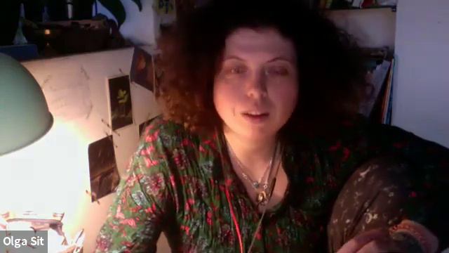 Выгул кошек