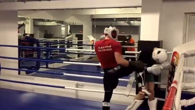 Cd9365ca3f6cc06343a2a8350773d5c1