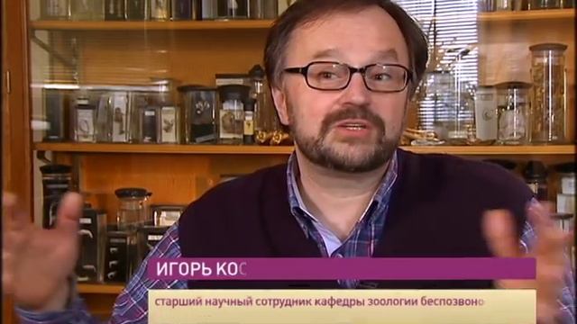 Гидроиды. Рассказывает Игорь Косевич.