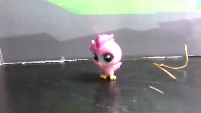 Мои любимые петшопы ☺