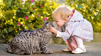 Детям про котиков