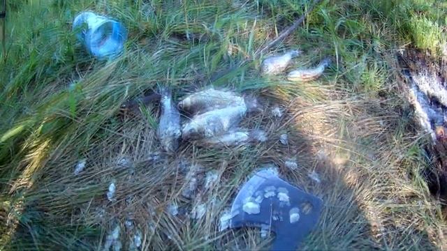 ВЫЖИВАНИЕ 24 ЧАСА без снаряжения еды и воды! Очистка болотной воды. Часть 22