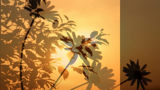 Позови меня на закате дня