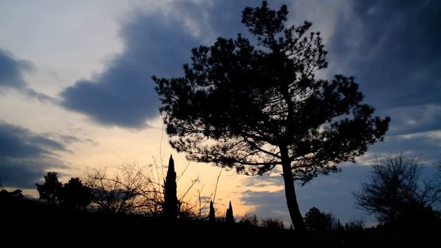 Из завещания Автандила царю Ростевану (Шота Руставели 