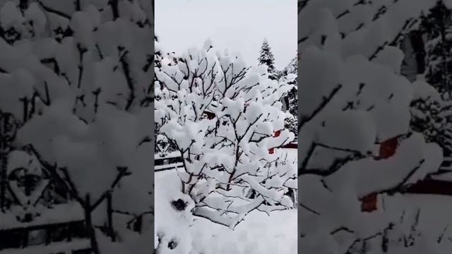 2 АПРЕЛЯ ВЫПАЛ СНЕГ. ЧЕМ БОЛЬШЕ ПРОЖИЛИ МЫ ЛЕТ, ТЕМ ВЫШЕ ЦЕНИМ МЫ МГНОВЕНИЕ...