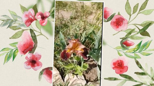 Красивые весенние цитаты. Музыка Андрей Обидин.