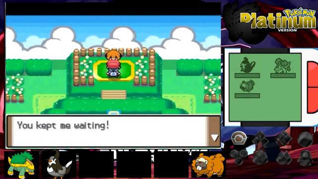 Pokemon Platinum In Hindi Episode 8...Eterna City Gym Leader Gardenia...DhruTheGamer