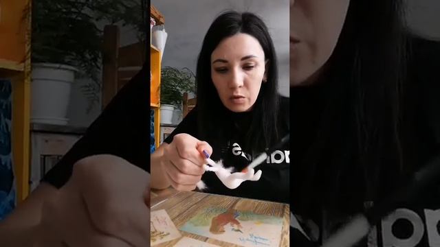 A4e52620959fc6ffff494ab822859b65