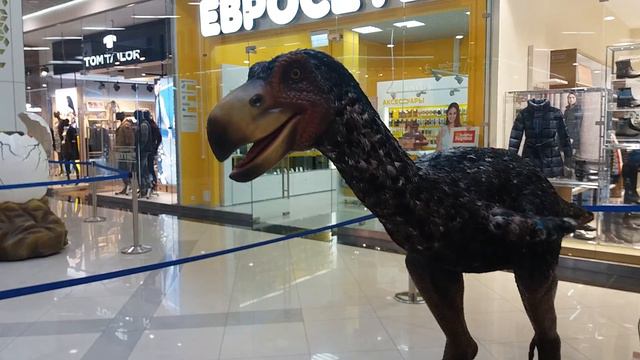Тц Выходной в Люберцах