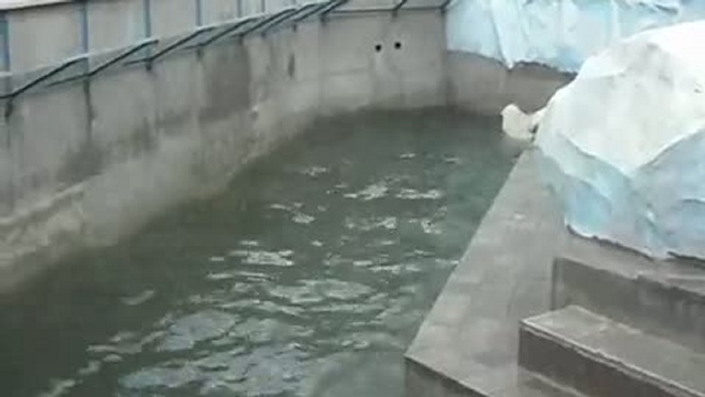 Новосибирский зоопарк