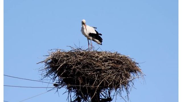 0e286cb31560a0ed48f98b508827a157