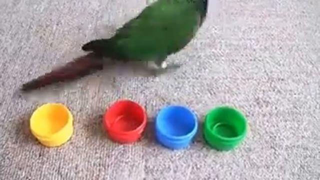 562b5a14cc4a815da3870af30ea92aee