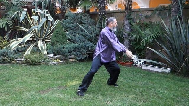 пример занятий тайцзи цюань 2