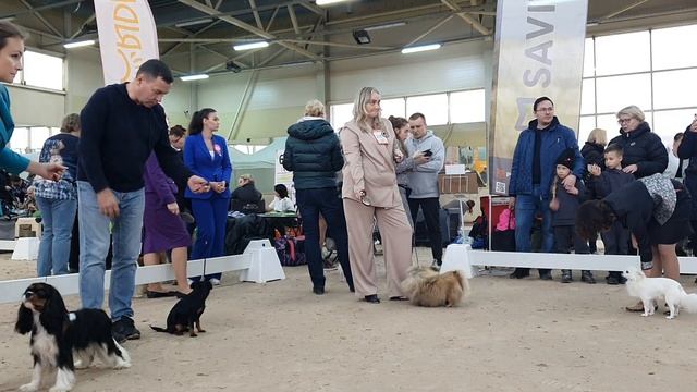 Ae96157c9a6ebd7eb48f629dab80b353