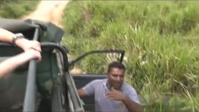 Denje !!! Sri Lanka. Внимание !!! Дикие слоны Шри-Ланки - погоня за туристами .