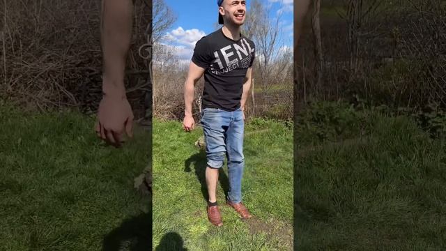 Тайные венценосные энергетические пробуждения