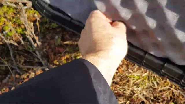 Женское превосходство в ринге