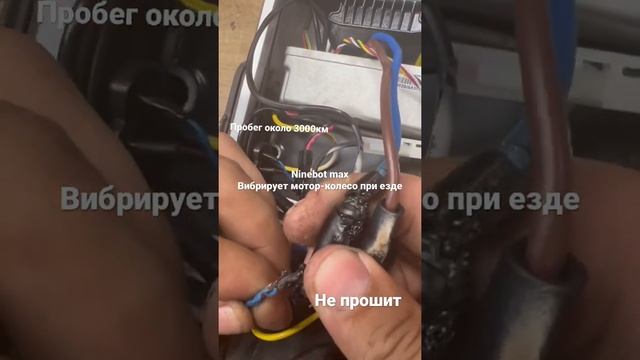 Самокат Ninebot Max  вибрирует при езде. Пробег 3000км. Не прошит. Оплавились фазы. Фиксэлектро