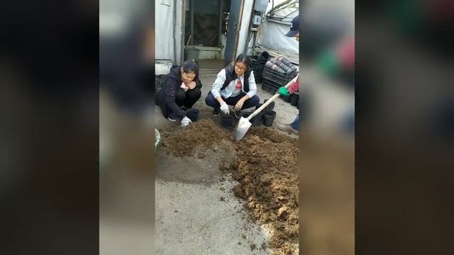 C2bcb306175d58373e023a56ebb496d7