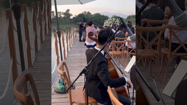 Canon In D - Harp, Violin & Cello Trio