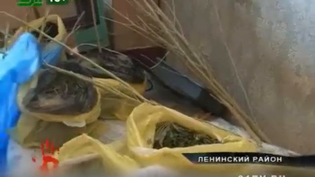 Криминального садовода осудили на 7,5 лет