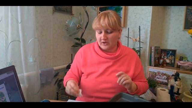 ПРО100 обзор. Доставка 