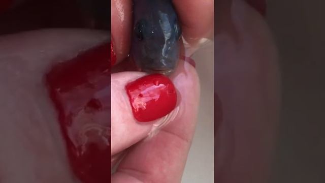 539ce6ecaa40d4200829d56541db2569