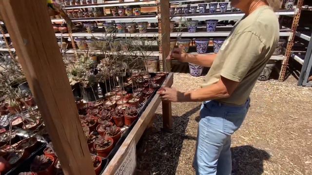 Check Out What’s Growing On At Planter Paradise🎉