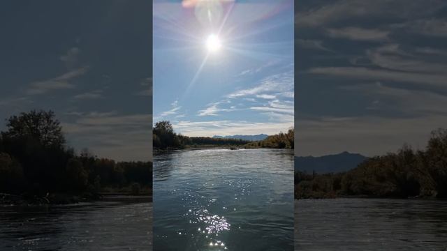 Подборка охоты и рыбалки!