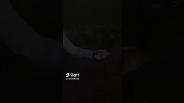 Голавль на микроречке. #shorts