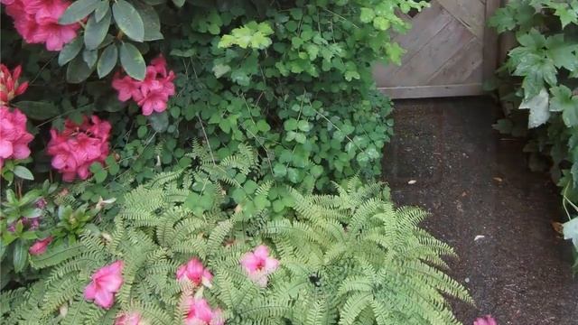 519fb7bfe6e14c422358258040269a20