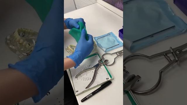 Благодарность за жизнь