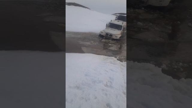 весна трэкол