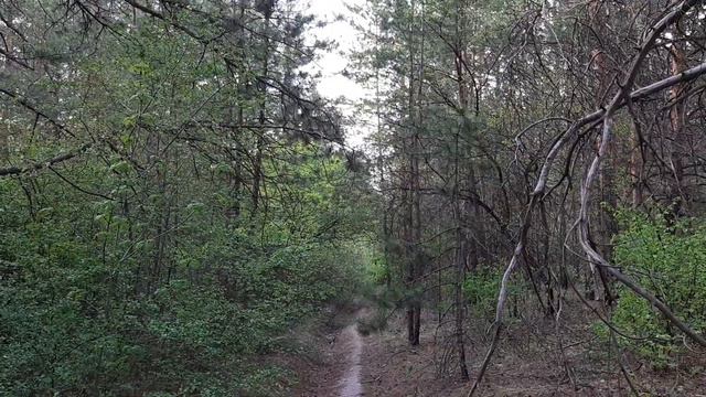 2a30382dc5c82e04db0f05ba0aee4c16