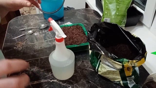 🌺Петунья- посадка семян на рассаду🌺