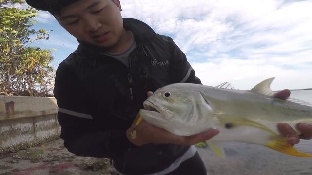 How Many Fish Actually See Your Bait?