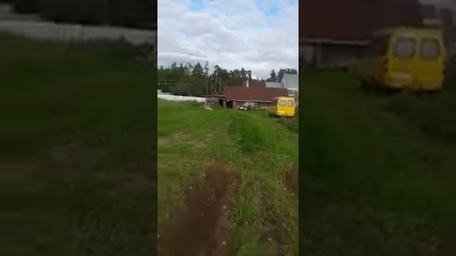 Копаем картошку, конский навоз и в результате гигантский картофель