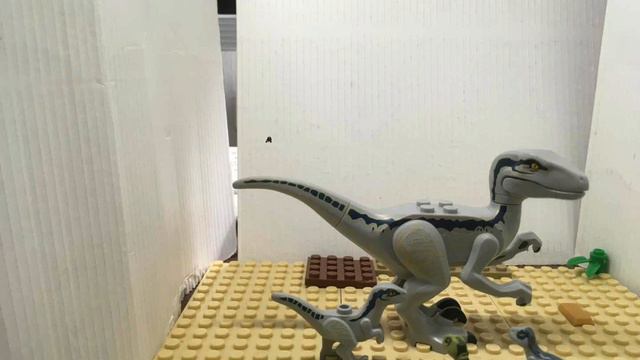 Научный дневник:Велоцираптор