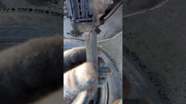 Автоновости