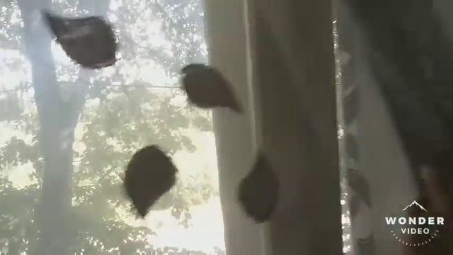 1100000 т.р. продается 2-х комн. кв. в пос. Пятницкое Волоконовского р-на