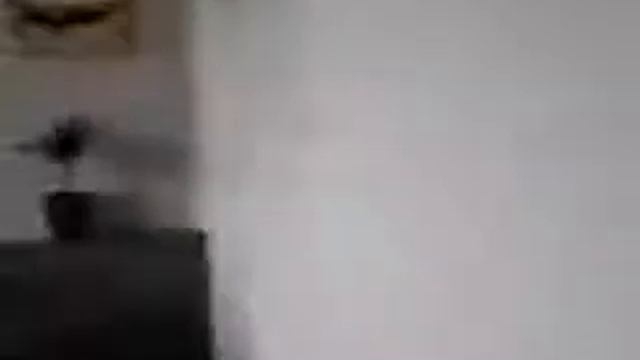 Ресторан Якитория !!!