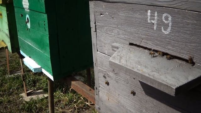 3be264012f676cc6b36995cc617b3d3f