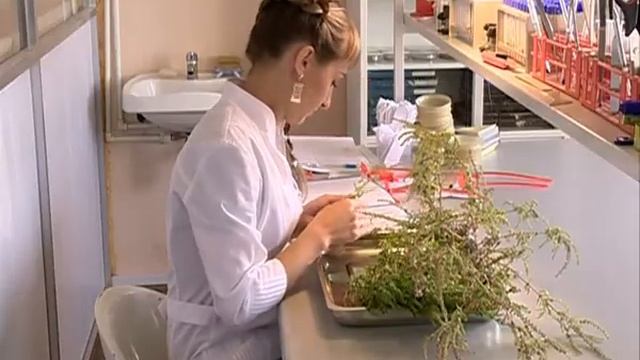 Россельхознадзор по Заб. краю и Амурской области