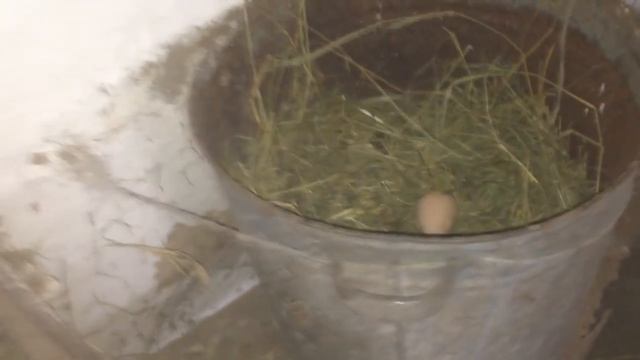 И СНОВА ЗА РАБОТУ __ БУДНИ СТАНИЦЫ