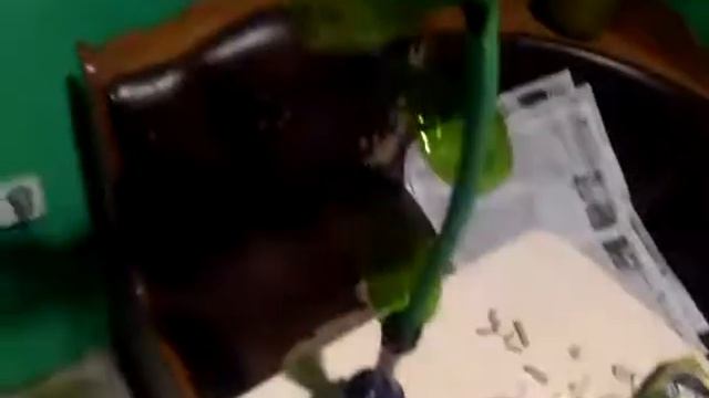 6a5b06535fe4347bc87692f315081443