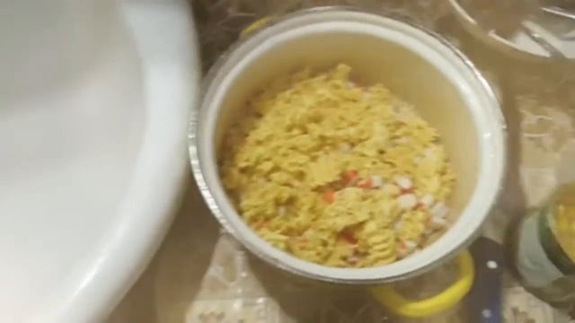 Домашние Животные и Их Уход