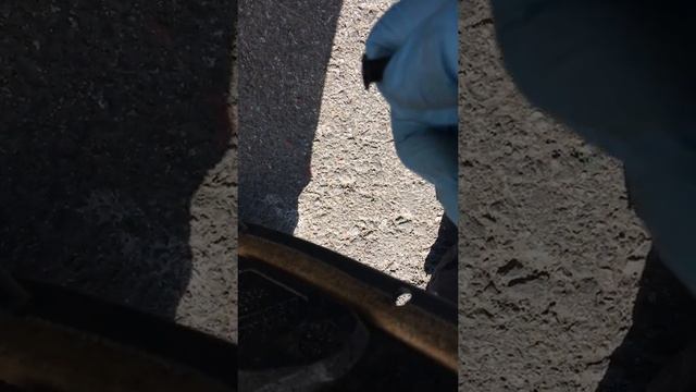 Мозаика: целостность в деталях