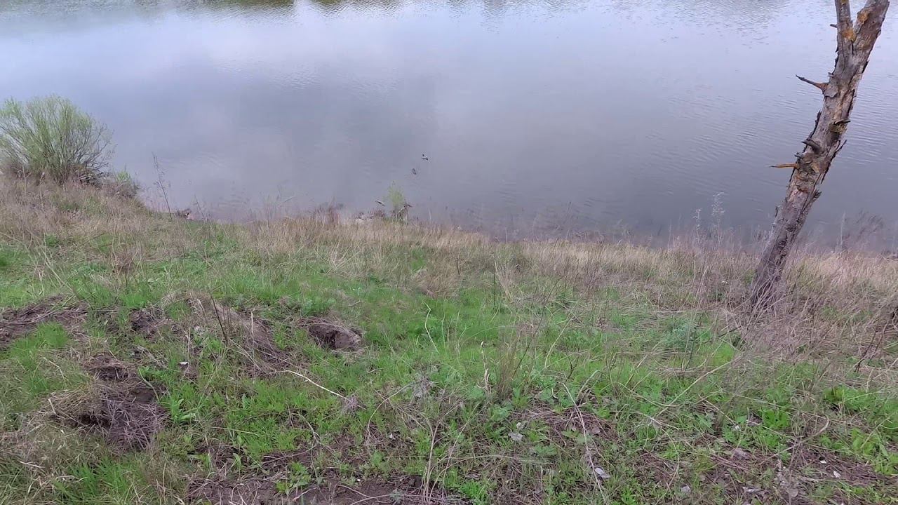 На берег Дона