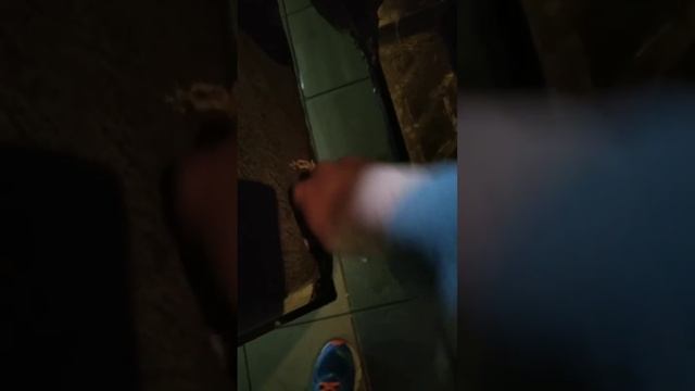 Ремонт дверей: снятие обшивки и замена ручек